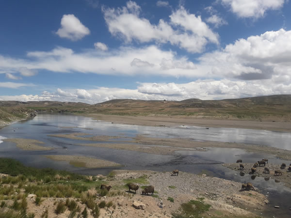 Sistema de Información Hídrico en la Cuenca del Río Ilave